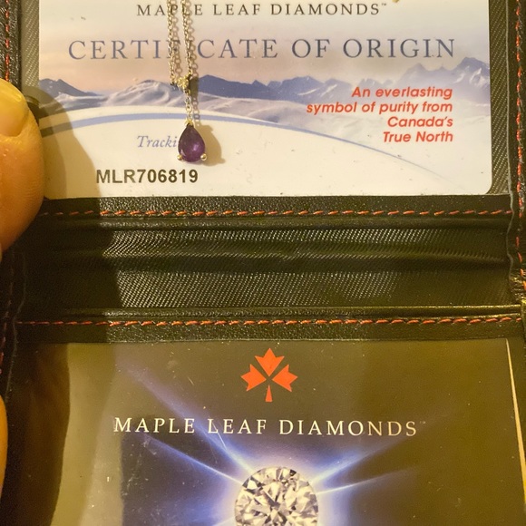 Beautiful Canadian diamond necklace - Picture 2 of 2